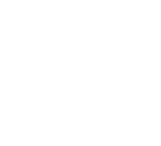 conacyt